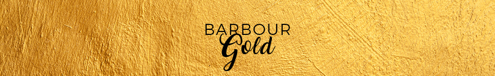 Main banner logo